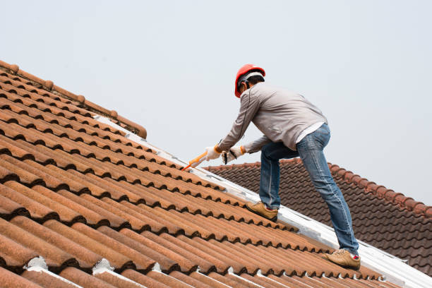 Best Roof Coating and Sealing  in Belen, NM